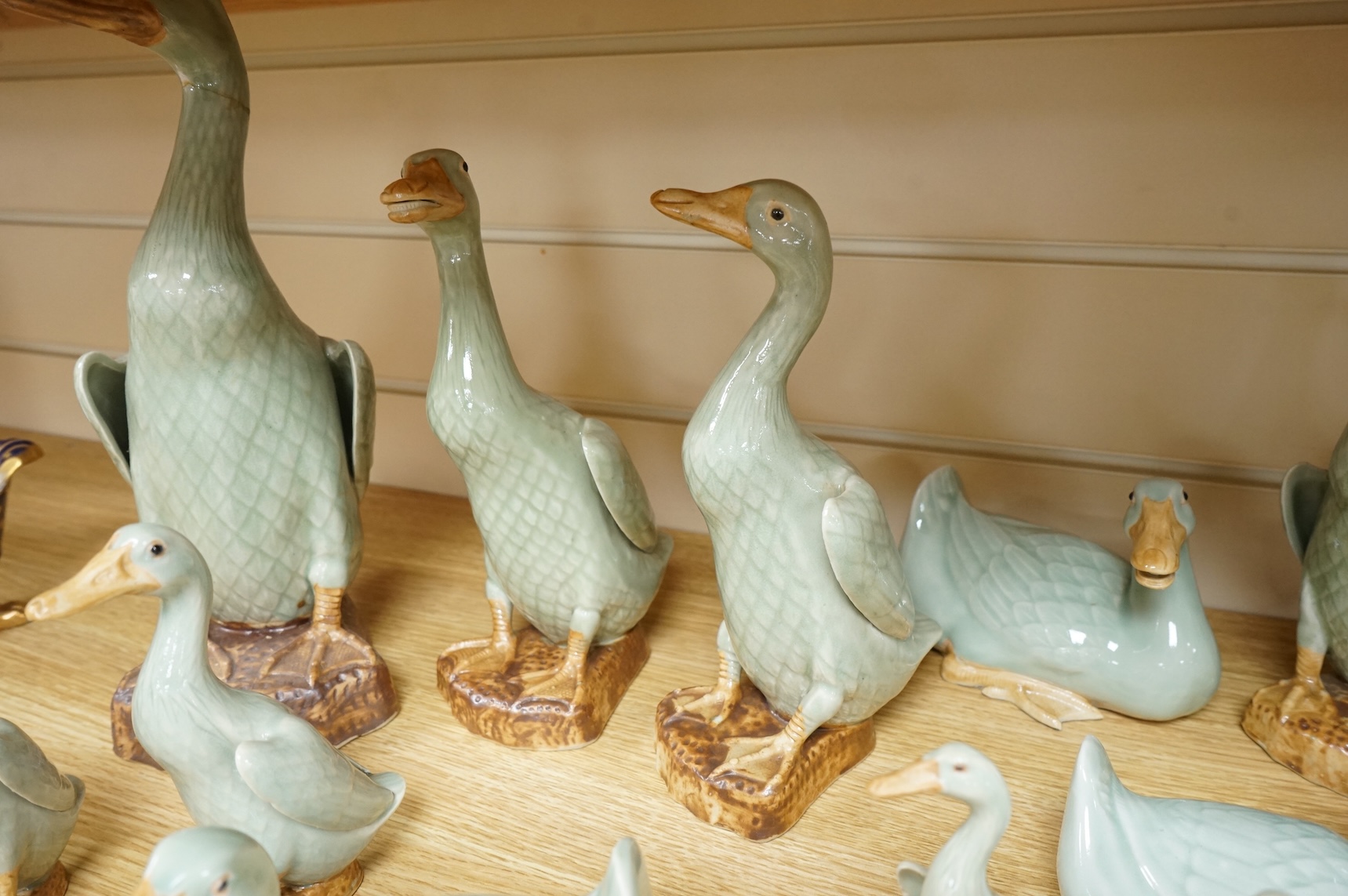 A collection of Chinese celadon glazed models of geese and ducks, largest 31cm high